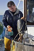 Vidage d'une amphore de pêche au poulpe Camargue France ; le Grau du Roi