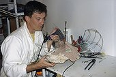 Completion of a sculpture of a triceratops skull ; From the time he was very young, he has dissected, sketched an sculpted<br/>everything he notices during his hikes. While completing studies in biology,<br/>he worked on perfecting his moulding and painting techniques. Today he serves<br/>art and natural history museums by restoring collections or making educational<br/>moulds and models. First he sculpts and models the subject. With the help of<br/>elastomers an resins, he then casts his creation. Next comes the most delicate<br/>phase : giving the animal or plant realistic, lifelike colors.<br/>Various techniques used in modeling. : here, with epoxy resin.<br/>@ Mold (Sculpture)<br/>