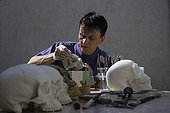 Chasing an ivory polyurethane resin cast of a human skull ; From the time he was very young, he has dissected, sketched an sculpted<br/>everything he notices during his hikes. While completing studies in biology,<br/>he worked on perfecting his moulding and painting techniques. Today he serves<br/>art and natural history museums by restoring collections or making educational<br/>moulds and models. First he sculpts and models the subject. With the help of<br/>elastomers an resins, he then casts his creation. Next comes the most delicate<br/>phase : giving the animal or plant realistic, lifelike colors.<br/>Applicatons for biology and medicine.