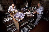Researchers in their service of Butterflies Paris France ; Pr Jacques Pierre, in charge of the service and his wife Claude Pierre, specialist in the African butterflies Here the prestigious Collection Fournier, classified Historic Monument in 1947.