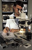 Draughtsman of the Laboratory of Entomology at work Paris ; Gilbert Hodebert is the one of largest draughtsmen naturalists in the field of the insects. He carries out in 5-6 hours a drawing (X5) of an Himalayan Coleopter (35 mm in a of drawing of 20 cm)