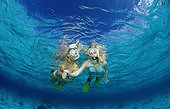 Snorkeling girls Komodo National Park Indian Ocean 