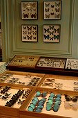 Taxidermist & entomological collection of the shop Deyrolle ; The shop was founded in 1831 by Jean-Baptiste Deyrolle, and it moved to its current location —the former home of Louis XIV’s banker— in 1881. Mounted butterflies, beetles, and other insects, as well as rocks, fossils, and a variety of educational products. It is, however, a functioning taxidermy operation.