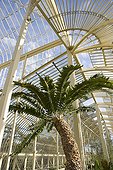 Greenhouses of the botanical garden of Glasnevin Dublin Ireland