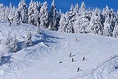 Ski slope in the Vosges