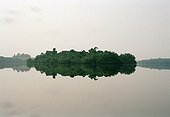 Landscape of an Island in the lagoon of the park Congo