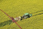 Air shot of a tractor in a field of Colza in flower ; This tractor pulverizes an insecticidal treatment (against charancon the siliques ones) or fungicide (against sclerotinia).