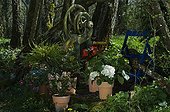 Potées fleuries et pompe à eau sur une terrasse de jardin ; Mahonia 'Charity'
