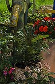 Potées fleuries et pompe à eau sur une terrasse de jardin ; Mahonia 'Charity'