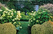 Priest's garden in Maizicourt gardens France ; Hydrangea 'Annabelle'<br>Willow 'Hakuro Nishiki'