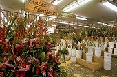 Market of the wholesale flowers in Los Angeles the USA ; Report: “In the secrecy of the flowers”.