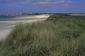 Coastal dunes of Keremma Finistere France