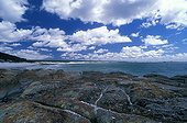 Rivage rocheux Tasmanie