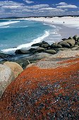 Rivage de granite couvert de Lichen orange Tasmanie