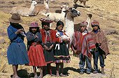 Children and Lamas herd Cuzco Region Peru
