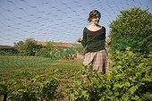 Girl posing a safety net anti birds France