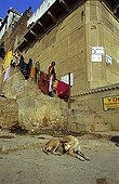 Woman and Dog on ghats beside the Ganges India ; Site: Benares town, Uttar Pradesh land<br>Edifice: Ghats, series of steps leading down to a body of water in India