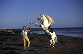 Rider doing her nose gray horse on the beach France