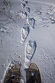 Tracks of antique snowshoes on a frozen lake Quebec