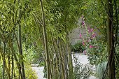 Living willow structure Medieval garden of Uzès Gard France