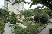 Medieval garden of Uzès in summer Gard France ; The Tour de l'Evèque in the background.
