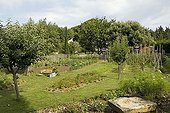 Overview of a kitchen garden in summer Provence