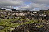 Rivage rocheux du Parc National de Derryane à marée basse ; Péninsule d'Iveragh, Comté de Kerry.