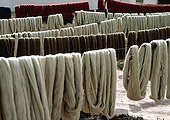Wool dyeing Jerba Island Tunisia