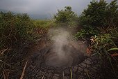 Pond mud bubbling Bukit Barisan Selatan Sumatra