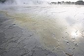 Pond mud bubbling Bukit Barisan Selatan Sumatra
