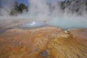 Pond mud bubbling Bukit Barisan Selatan Sumatra