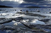 Rivage rocheux érodé du fjord Ofotfjorden Norvège
