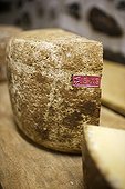 Fourme of Salers cheese Badailhac Cantal France