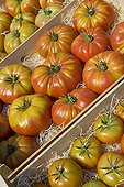 Tray of tomatoes 'Olympe' at the market