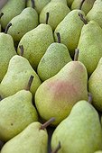 Pears 'Guyots' at the market