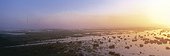 Freshwater wetland area of Loire river at dawn
