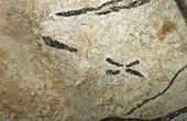Lascaux - Cave art