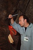 Taxidermy