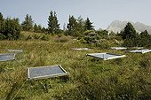 Experience scientifique au Jardin Alpin du Col du Lautaret ; Etude des effets physiologiques des UV-B,