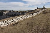 Mur de pierres sèches dans le Jura suisse ; Cirque du Creux du Van