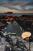 Rivage rocheux au soleil couchant Eshaness Shetland ; Localité : Dore Holm.
