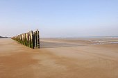 Wooden pickets on a sand beach Grand-Fort-Philippe