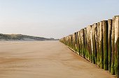 Wooden pickets on a sand beach Grand-Fort-Philippe