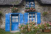 Thatched French cottage and flowers at window boxes Britanny