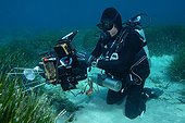 Diver filming seagrass Embiez Mediterranean Sea France