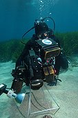 Diver filming a crab Embiez Mediterranean Sea France ; Character: Christian Petron <br> Series on the status of the Mediterranean <br>
