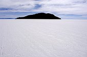 Incahuasi island on the Salar de Uyuni Bolivia ; It is the largest salt lake in the world