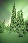 Aurura borealis over the taiga covered with snow Finland