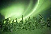 Aurora borealis on taiga covered with snow Finland