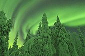 Aurora borealis over taiga covered with snow Finland